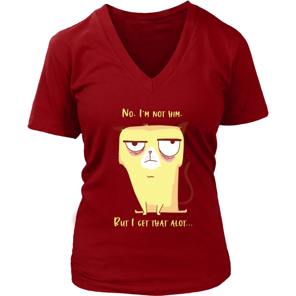 Funny Cat T-shirt, Grumpy Cat Gift, Funny Cat Shirt, Funny Cat Gift, Gift for Cat Lover