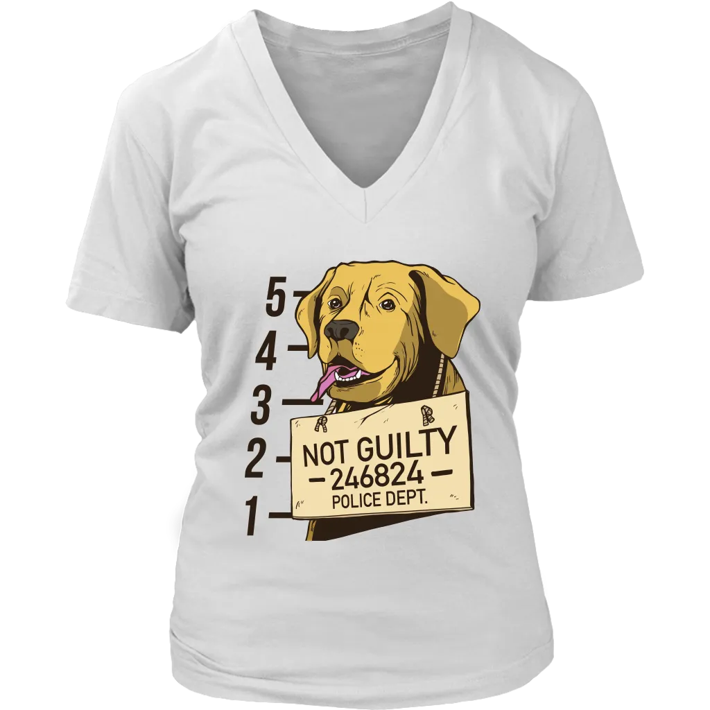 Funny Dog T-shirt, Funny Gift for Dog Lover, Not Guilty Dog Shirt, Dog T-shirt