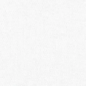 Robert Kaufman - Whisper Prints 3 - White on White - Links