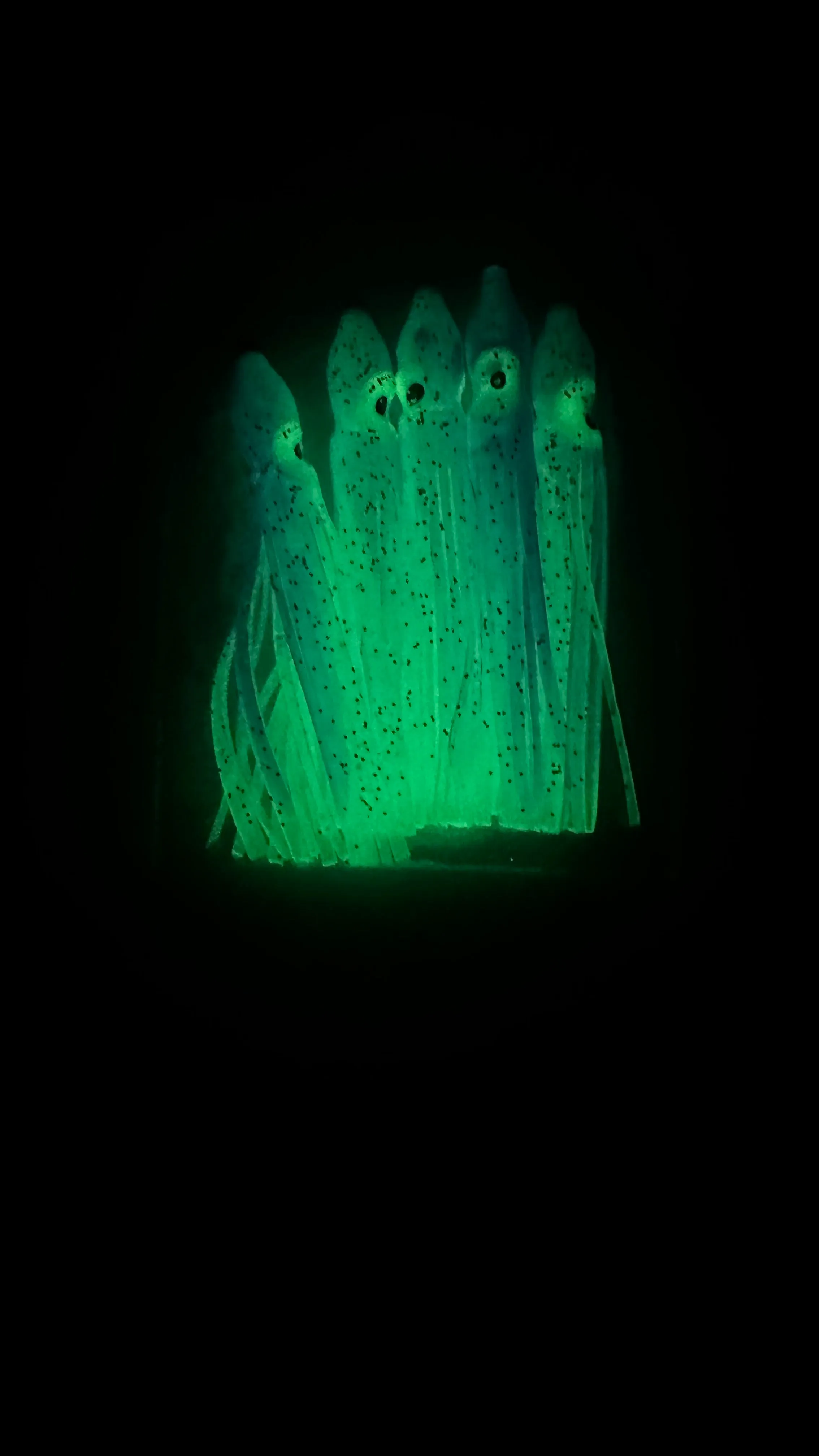 Squid skirts - KOKOPROS® 6 cm Luminous Squid Skirts 5-pack- Blue Magic